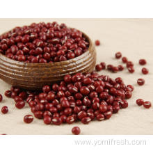 Red Bean Nutrition